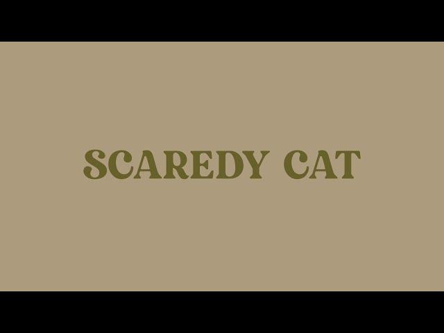 Scaredy Cat - DPR IAN (Lyrics Video)