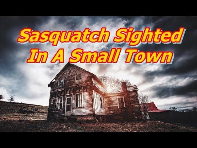 Sasquatch Visits Farm BFRO #50045 Review