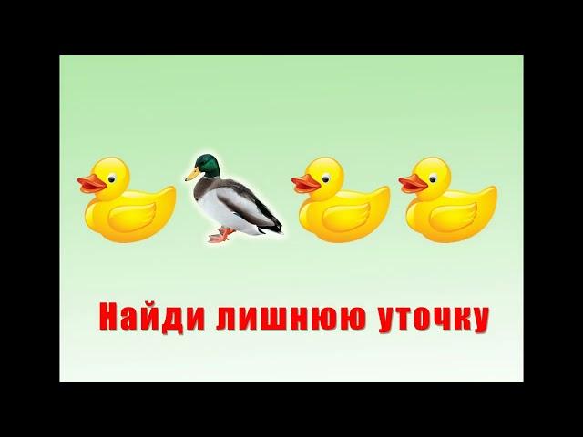 «Четвёртый лишний». Развивающие видео для детей 4-6 лет.