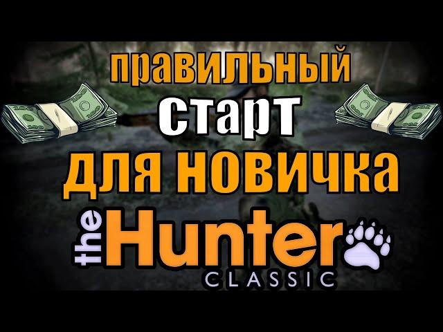 Правильный старт для новичка в The Hunter Classic