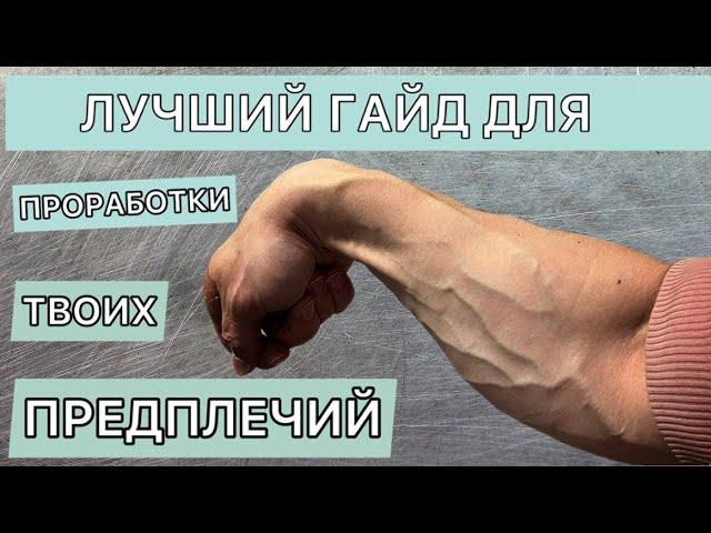 ЛУЧШИЙ ГАЙД ПО ПРЕДПЛЕЧЬЯМ