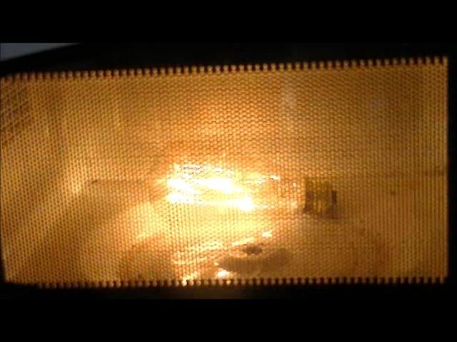 Microwave Me: Vintage Light Bulb