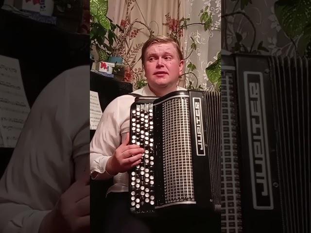 На позицию девушка провожала бойца- Д.Коваленко на баяне