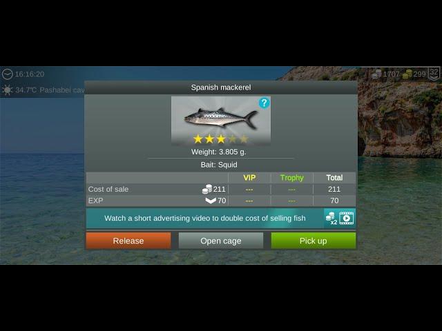 My Fishing World : Испанская Макрель (Ежедневное Задание, Пещера Пашабей) #myfishingworld