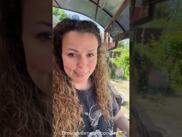 #garden #жизньзагородом #рецепты #огород #shorts #petrovchanka_lera #petrovchanka