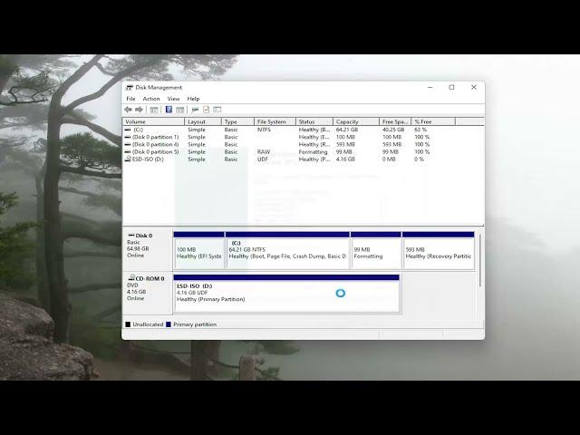 External Hard Drive Not Showing up or Detected in Windows 11/10