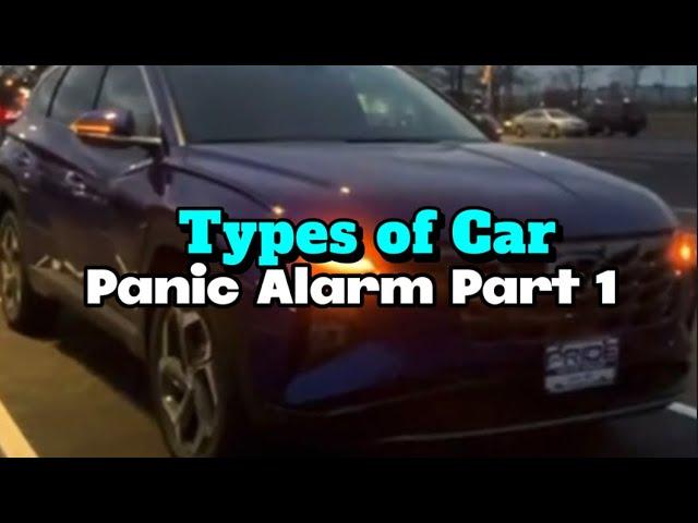 Types of Car Panic Alarm Part 1