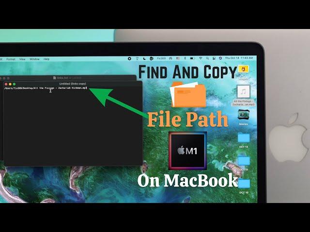 How To Find And Copy The File Path In Mac m1 [Terminal]