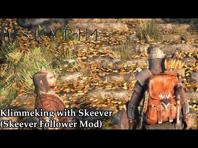 Skyrim AE - Klimmeking with Skeever (A.K.A. Skeever counts ALL of the "7000" Steps)