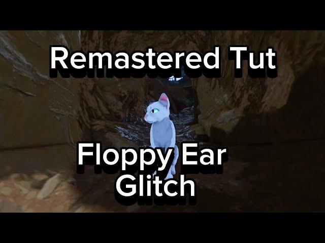 (UPDATED) Floppy Ear Glitch WCUE #warriorcatsultimateedition #glitch #wcue