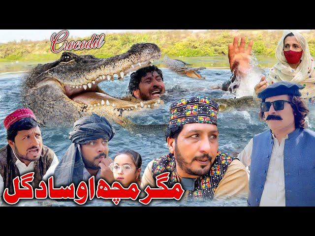 Magar Match (Crocodile) Ou Sada Gul New Comedy Video Khyber Vines