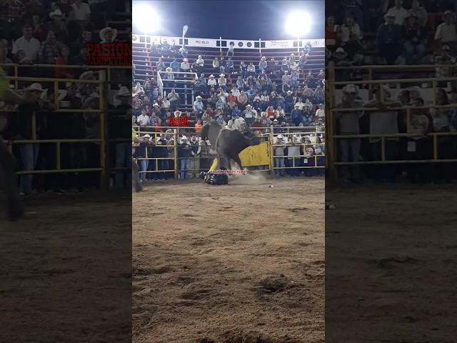 Es el único toro de USA en Rancho la Candelaria. TAQUICARDIO vs EDSON en Uriangato 22 Sept 2024