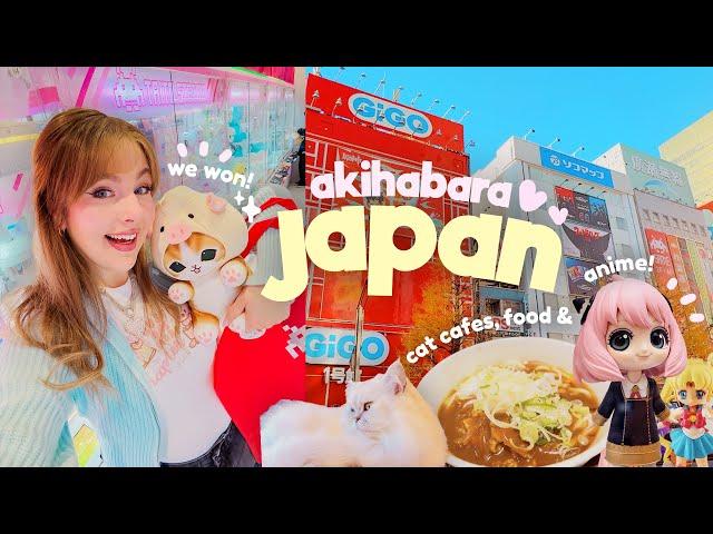 NON-STOP NERDY FUN IN TOKYO  Exploring Akihabara Electric Town! The ULTIMATE Anime & Gaming City!