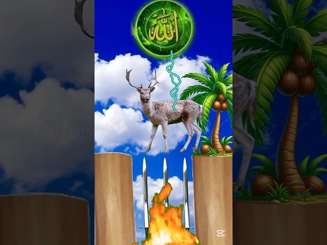 Mustafa Mustafa #islamicshorts #animals #cartoon #vfx #shorts