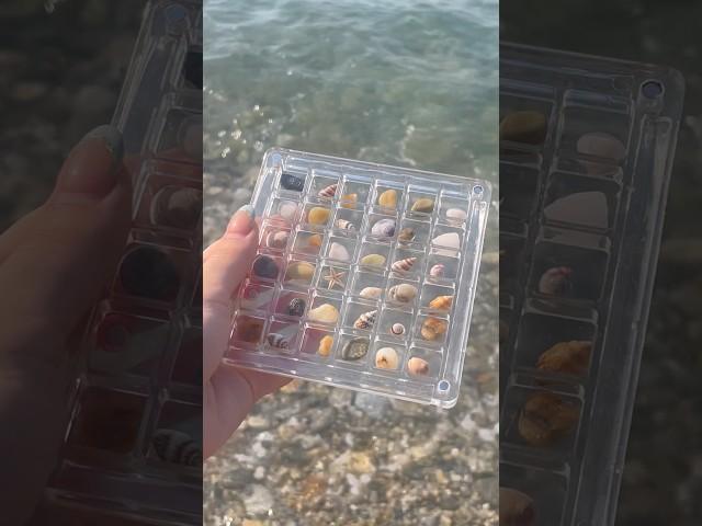 Collecting little sea shells and rocks