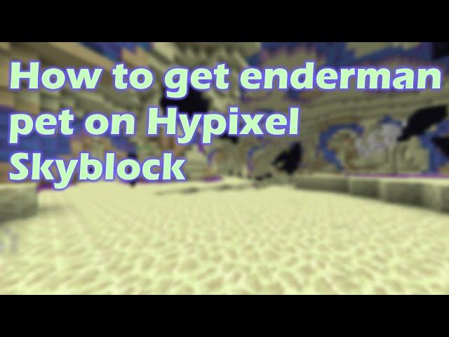 How to get enderman pet on Hypixel Skyblock