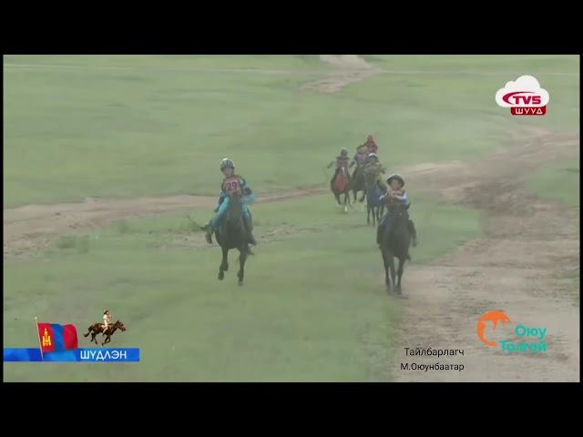 Шоу халзан Mongolian horse race