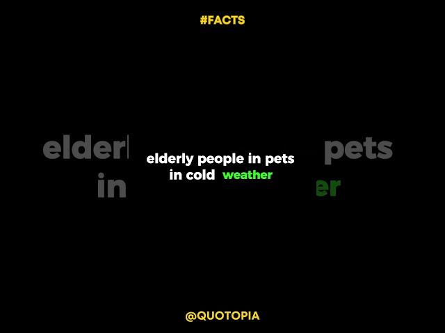 Why you should check on elderly people and pets in cold weather  #shorts #youtubeshorts #quotes