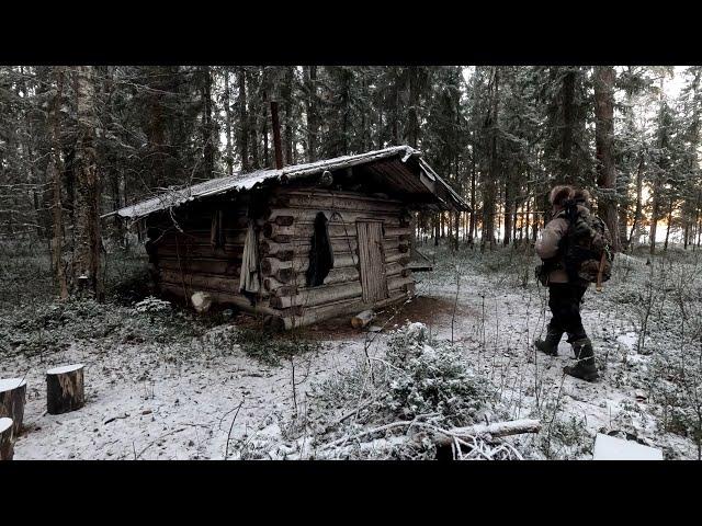 -30 мороз. СРОЧНЫЙ ПОХОД В ТАЙГУ К ИЗБЕ. ЛЕСНАЯ ИЗБА ЧТО С НЕЙ СЛУЧИЛОСЬ. ПРОБИРАЮСЬ К СТАРОЙ ИЗБЕ