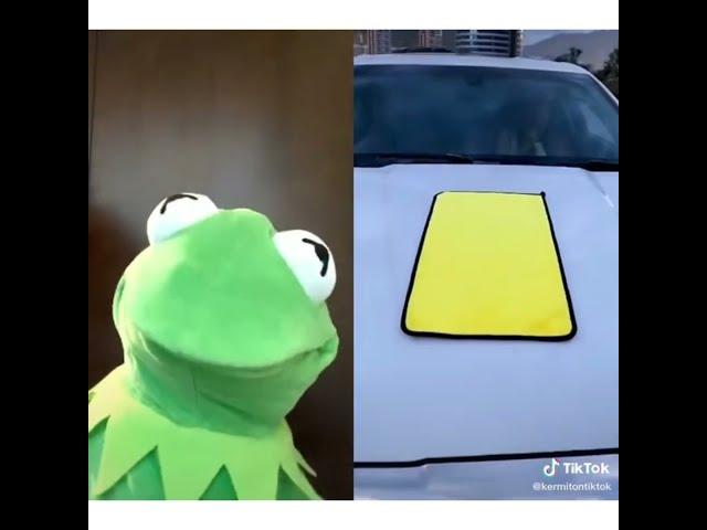 Funny Kermit the frog videos of 2020 (Part 2)