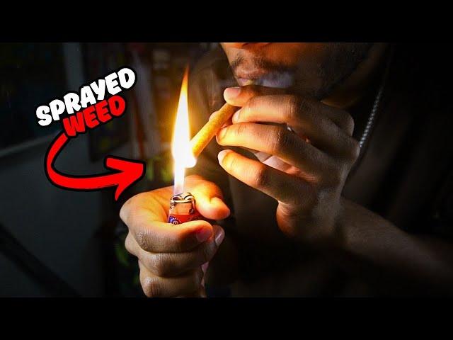 Are You Smoking Sprayed Za!?
