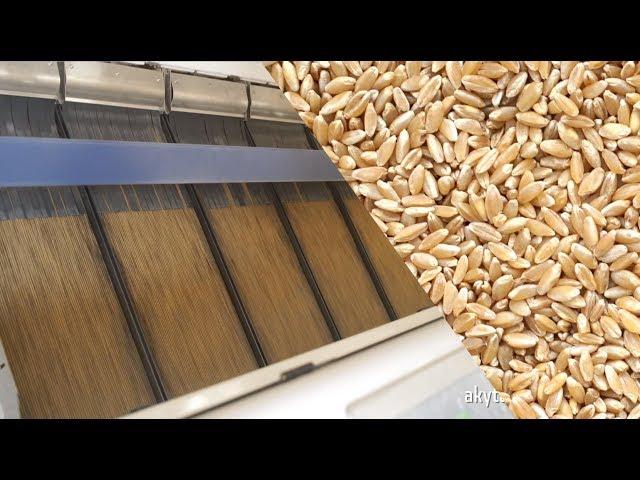 Seed Processing Plant - AKY Technology