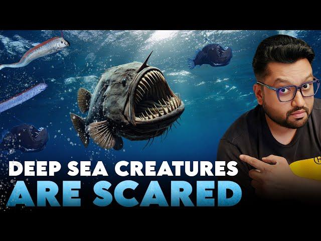 Why DEEP-SEA Creatures Are Coming Out to Surface? Leviathan is Coming?