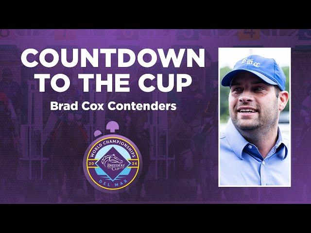 Countdown to the 2024 Breeders' Cup: Brad Cox Contenders