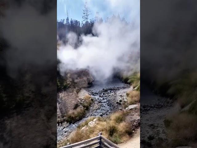 Spectacular Dragon's Mouth Spring in Yellowstone National Park.. Unbelievable!!! #shorts