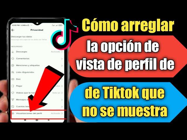 Cómo arreglar la opción de vista de perfil de Tiktok que no se muestra 2024 |