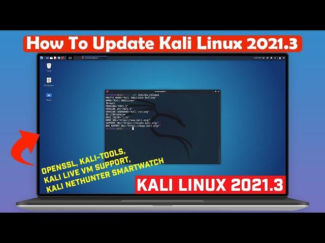 How to Update Kali Linux into the Latest Release | Kali Linux 2021.3