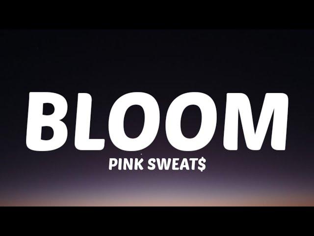 Pink - Sweat$ (Lyrics)