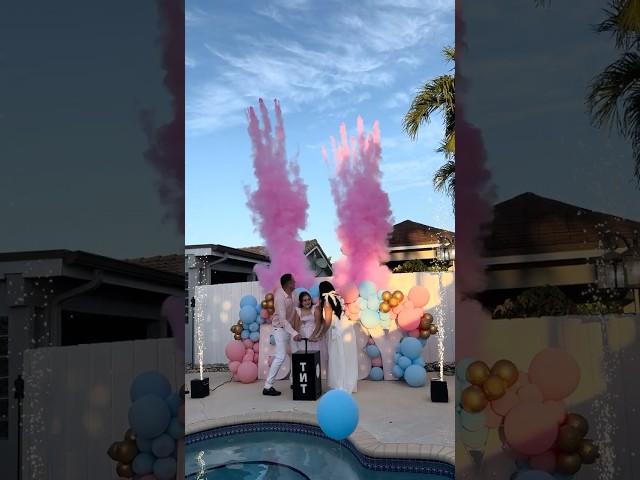 Beautiful Tnt Powder Blasters gender reveal show. #genderrevealideas