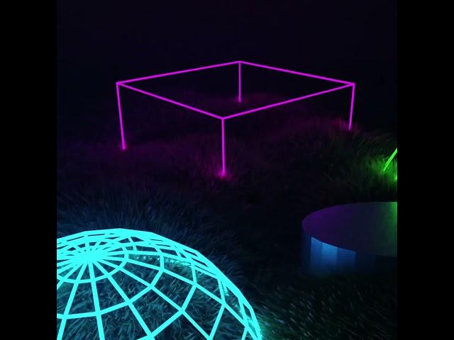 Neon Polygons in Field