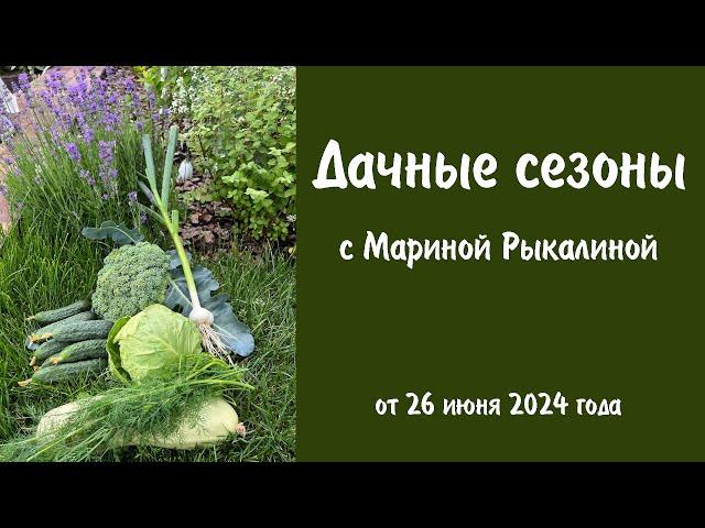 Дачные сезоны с Мариной Рыкалиной от 26 июня 2024 года