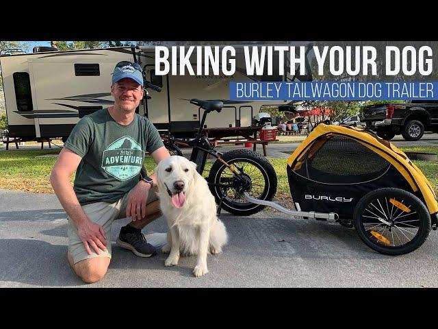 Burley TailWagon Dog Trailer Review // Rad Power Bikes [EP 56]