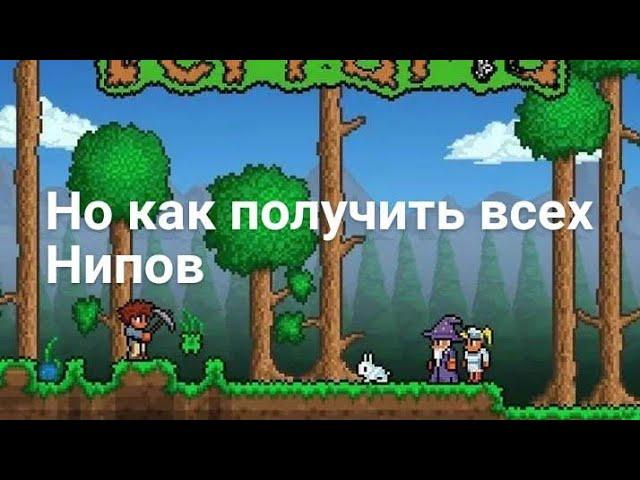 Как получить всех NPC в Террарии.