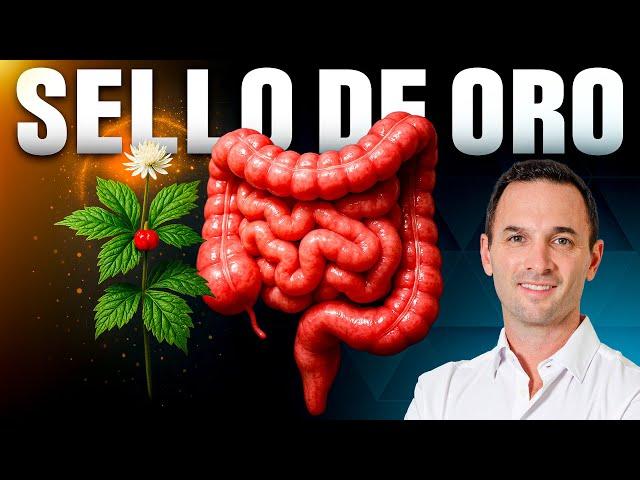 The plant that HEALS your Intestine, Brain and Immune System (NATURALLY)