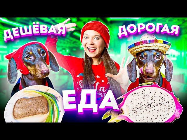 ДОРОГАЯ VS ДЕШЕВАЯ ЕДА II ЧТО ПОНРАВИТСЯ  БОЛЬШЕ?