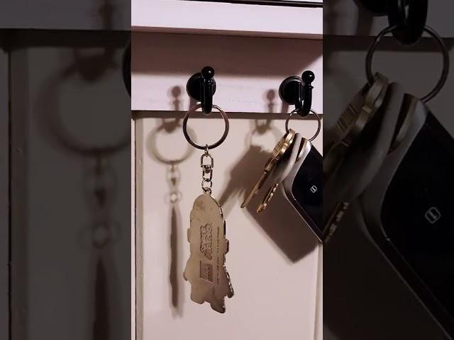 STOP losing your keys and get organized - #Short