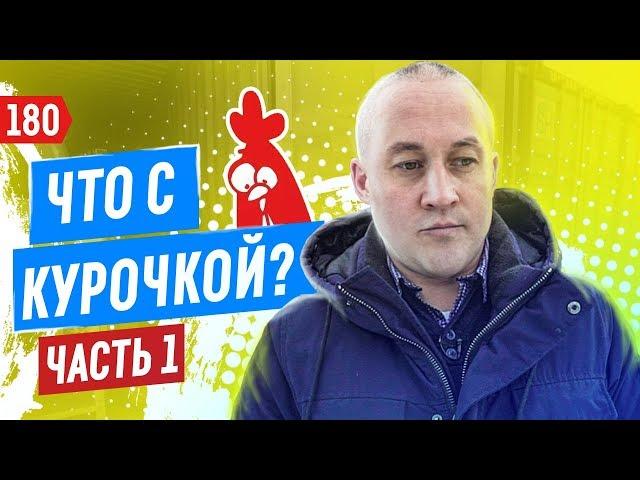 Закрытие и возвращение “Курочки”. Фудтрак