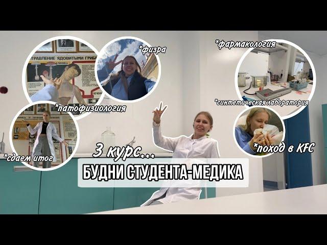 Влог: будни студента-медика // цикл патофизиологии и фармакологии // моя учеба на 3 курсе меда...