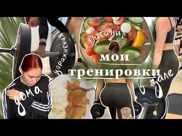 мои тренировки | как тренируюсь в зале, дома и мой дневной рацион