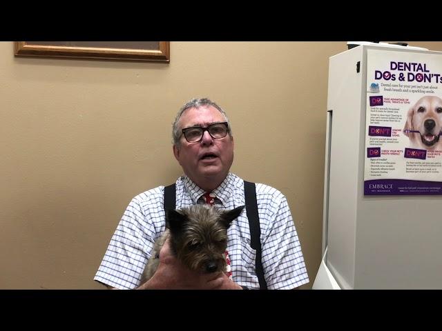 Dr.  Dan Otto -  Description of clinic care