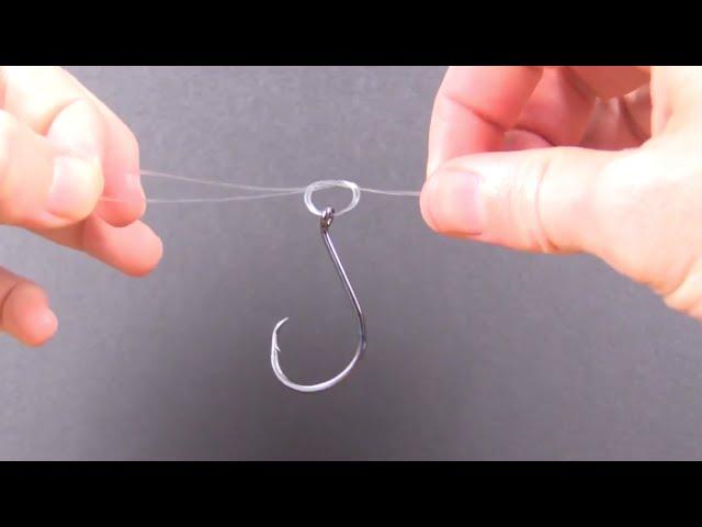 Palomar Knot - Quick Tutorial on How to Tie This Strong Knot