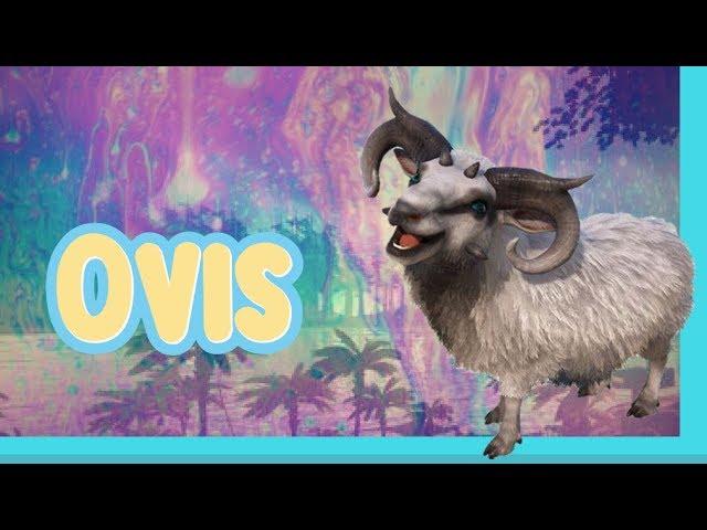 Ark | How to spawn a Sheep (Ovis) w/ Console Commands Ark Survival Evolved