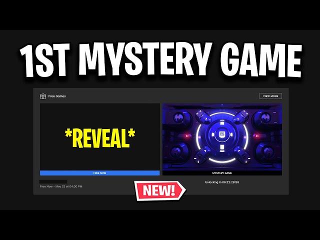 Epic Games 1st Mystery Vault Game REVEALED! (2023)