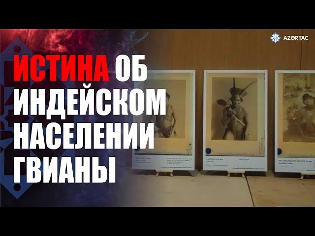 В Национальной ассамблее Франции рассказали о колониальном насилии этой страны