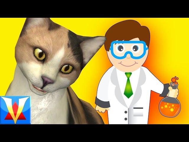 Gmod SCIENTIST Mod