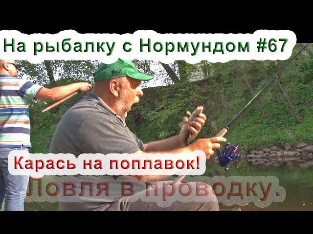 Карась на поплавок. Ловля в проводку. На рыбалку с Нормундом #67